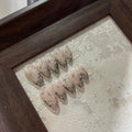 SIX POINTED STAR-TEN PIECES OF HANDCRAFTED PRESS ON NAIL