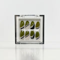 PISTACHIO - 28 PCS