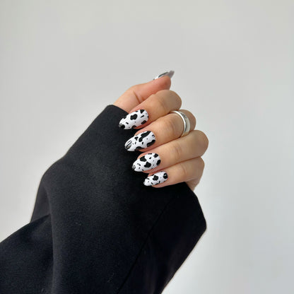SPOT - 28 PCS